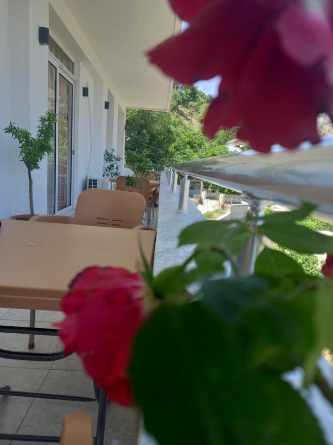 Vladimir Estate Hotel Gjirokastër Extérieur photo